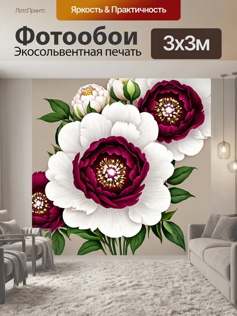 Фотообои Цветущий фон с крупными пионовидными цветами: белые и бордовые пионы с яркими золотистыми тычинками