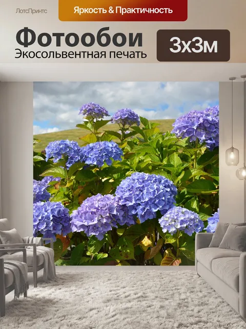 Фотообои Гортензии