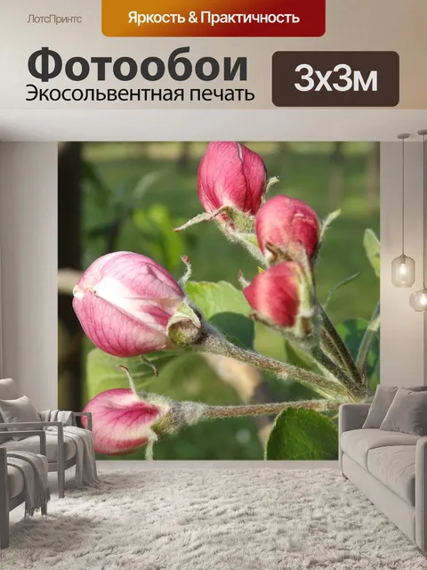 Фотообои Яблоня