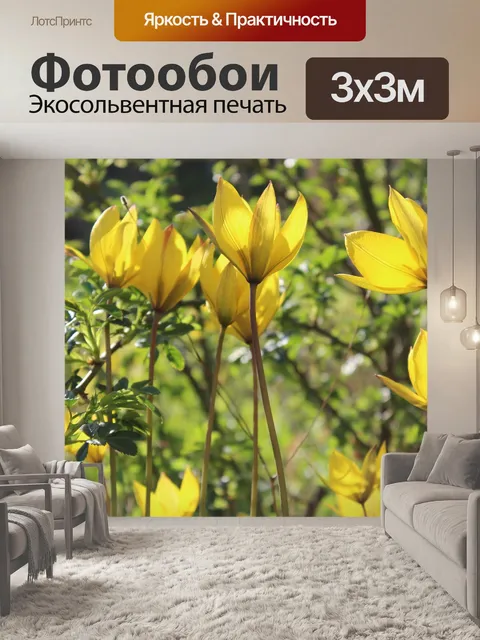 Фотообои Дикие тюльпаны