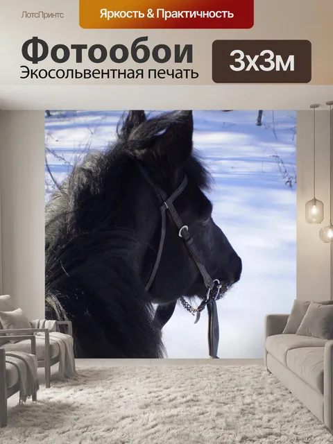 Фотообои Лошадь главы