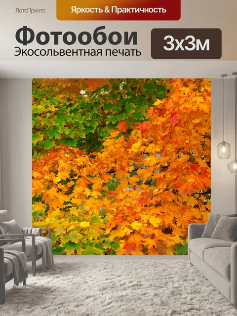 Фотообои разноцветные листья осенью