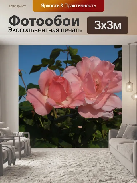 Фотообои Розы