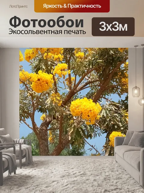 Фотообои Труба