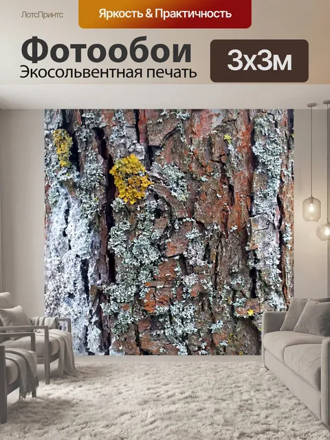 Фотообои Кора дерева Ствол дерева Текстура Фото