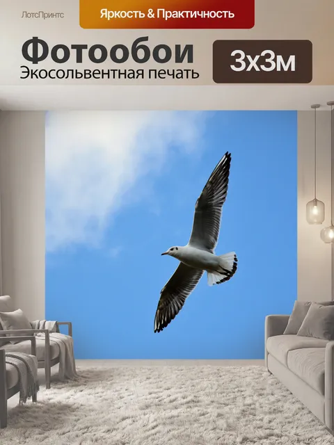 Фотообои Чайка