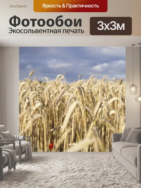 Фотообои Пшеничное поле
