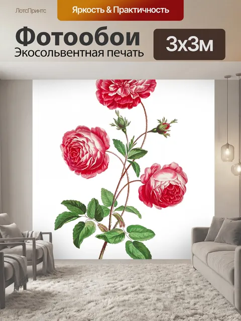 Фотообои Урожай роза искусство старый