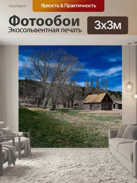 Фотообои Буч кэссиди дома