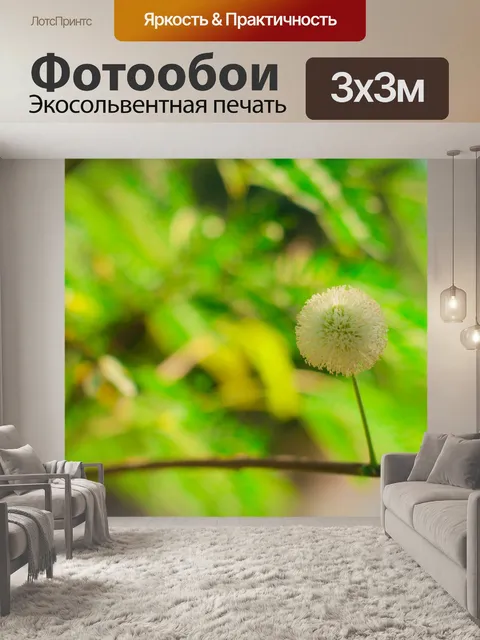 Фотообои Забор из акации