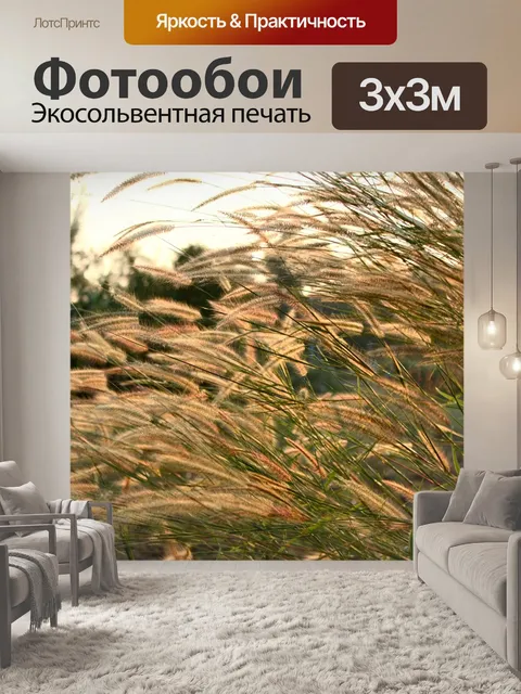 Фотообои Полевые цветы
