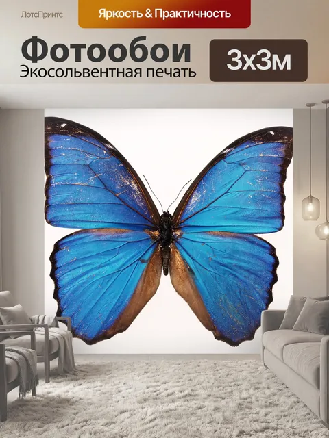 Фотообои Бабочка