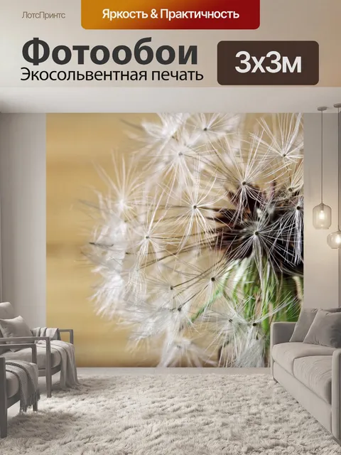 Фотообои белая нежная головка семени одуванчика