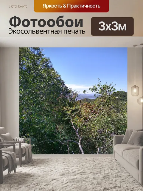Фотообои Кордова