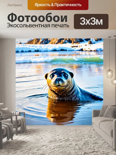 Фотообои на изображении тюлень изображён в момент