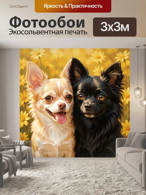 Фотообои Две чихуахуа среди желтых ромашек