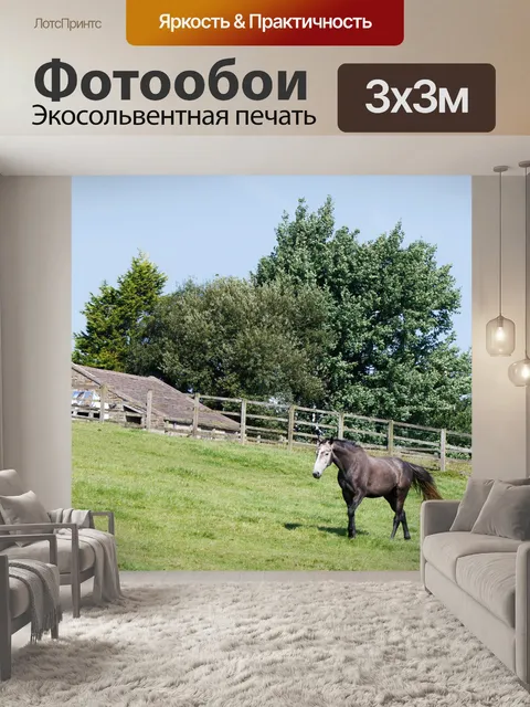 Фотообои Лошадь в Paddock