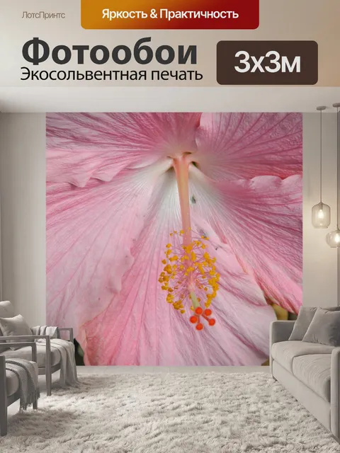 Фотообои Розовый цветок гибискуса