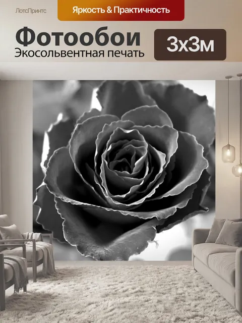 Фотообои Роза