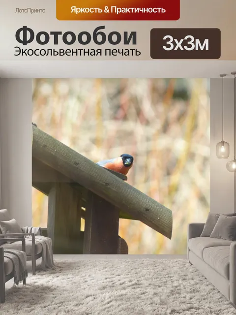 Фотообои Снегирь