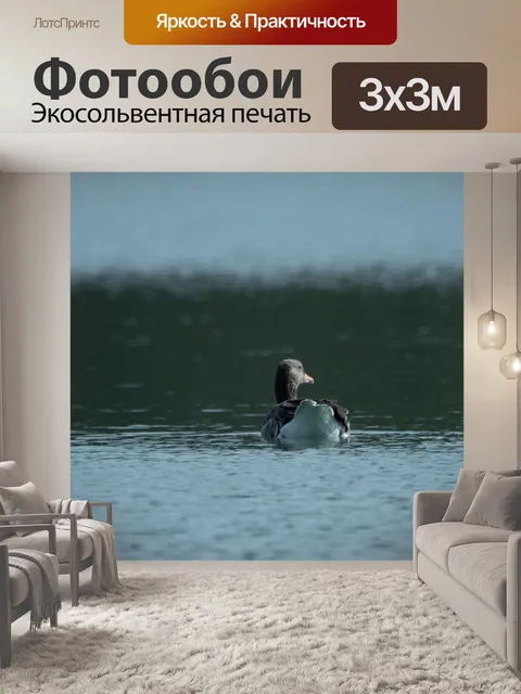 Фотообои Озеро