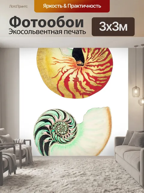 Фотообои Ракушка улитка винтажное искусство