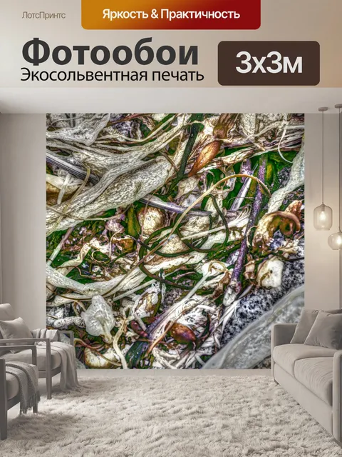 Фотообои Фон из морских водорослей