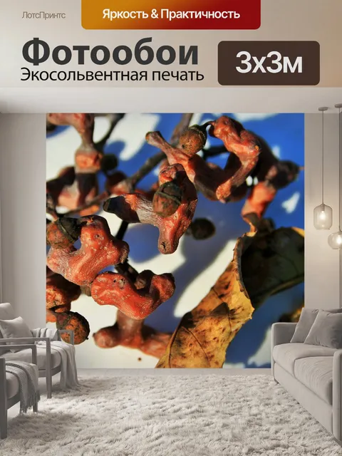 Фотообои Крупным планом японский изюмом
