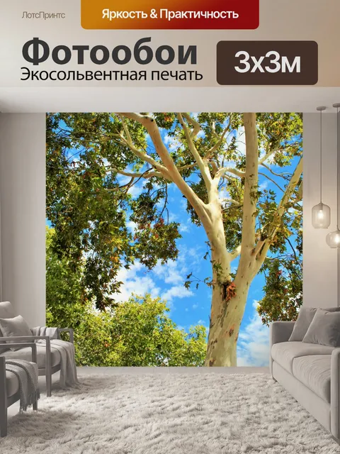 Фотообои клен