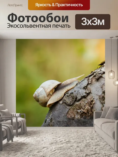 Фотообои Улитка