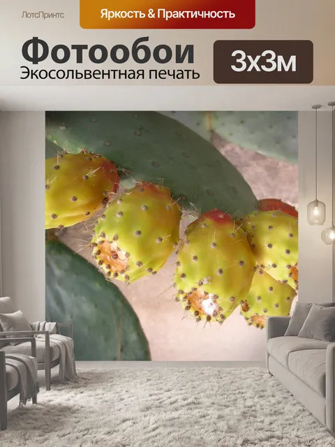 Фотообои Опунция
