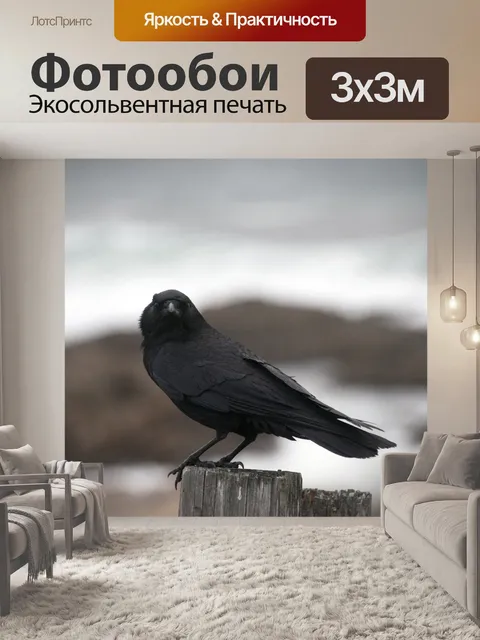 Фотообои ворона