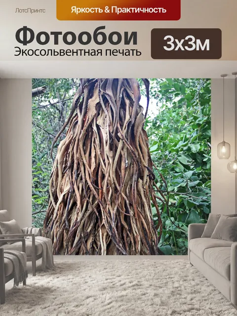 Фотообои мертвые листья на растении алоэ