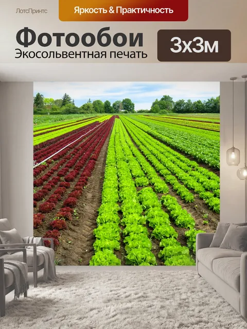 Фотообои Пейзаж