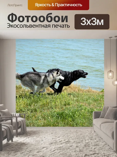 Фотообои Конкурс