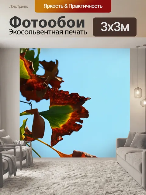 Фотообои изменение листьев гинкго билоба