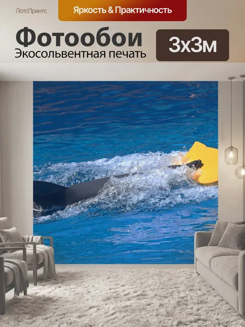 Фотообои Плавание дельфина с желтой доской