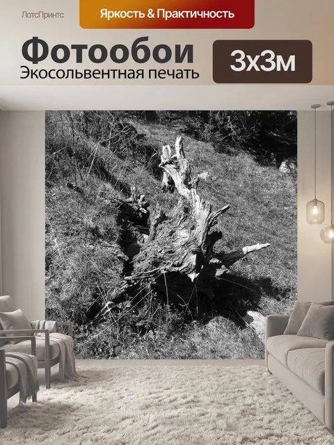 Фотообои Пень