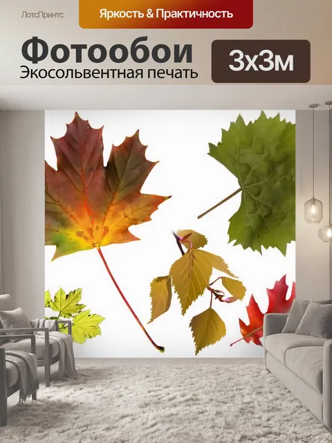 Фотообои Фон