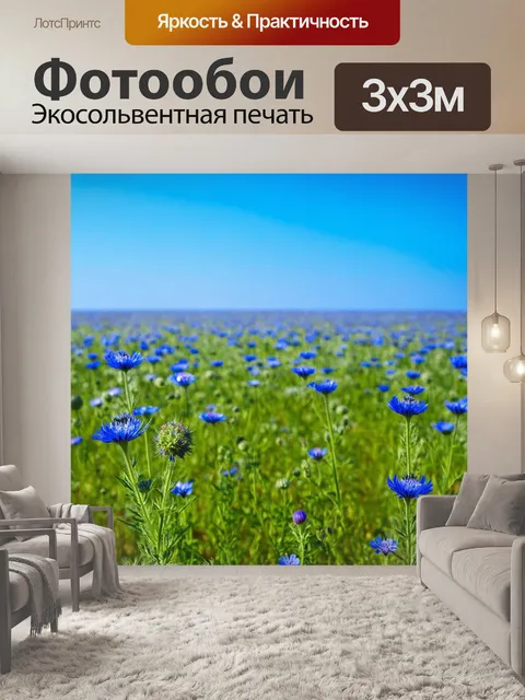 Фотообои поле васильков под ярким голубым небом
