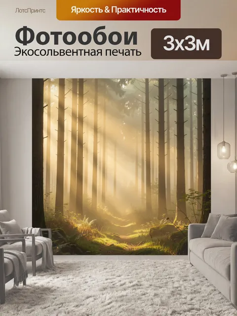 Фотообои Туманный сосновый лес на рассвете