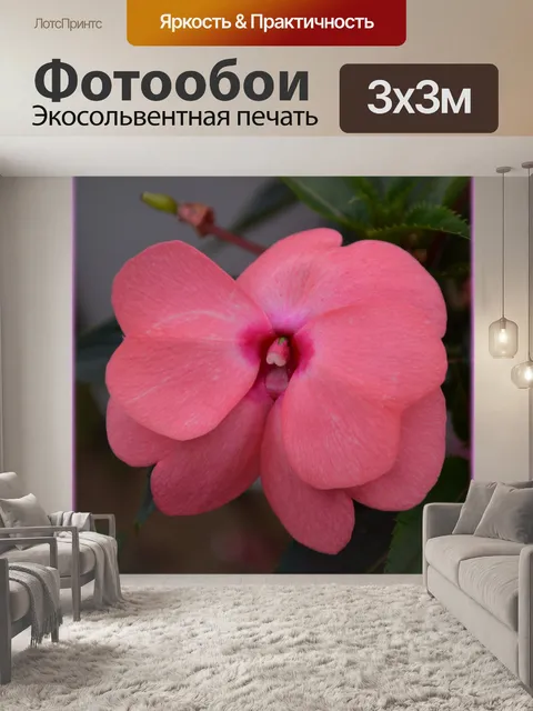 Фотообои Голландские цветы в садах 60