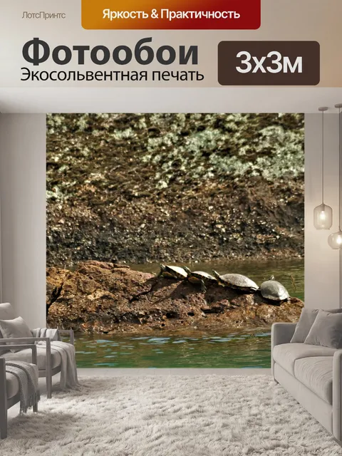 Фотообои Черепахи на скале в озере