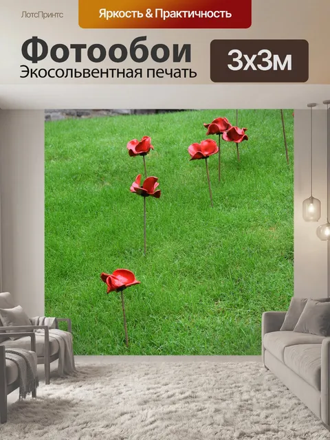 Фотообои Маки