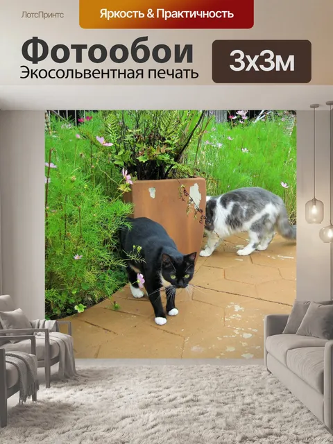 Фотообои две кошки на мощение