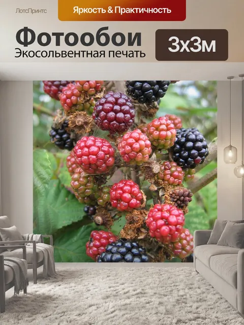 Фотообои Ежевика