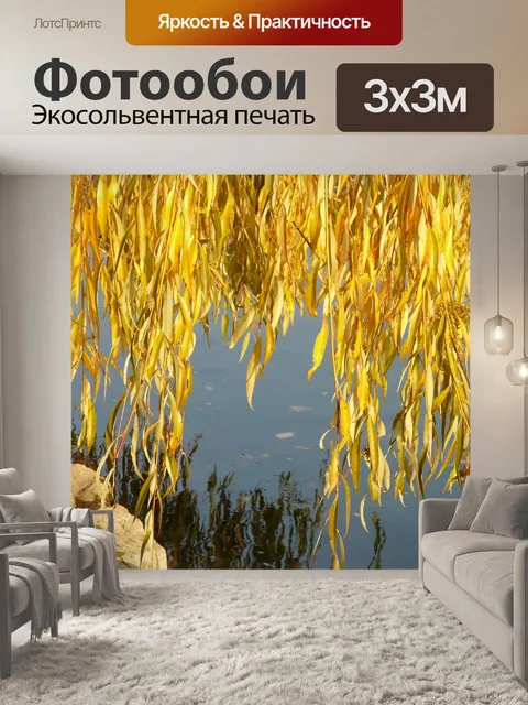 Фотообои Листья ивы