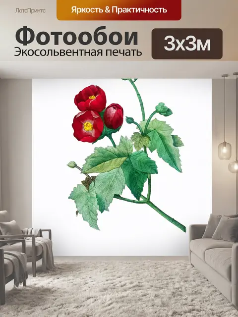 Фотообои Мальва цветок старинное искусство