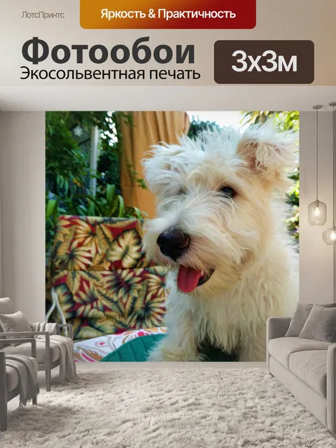 Фотообои Белый щенок шотландского терьера