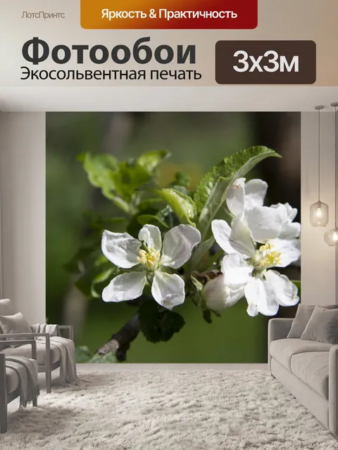 Фотообои Весна